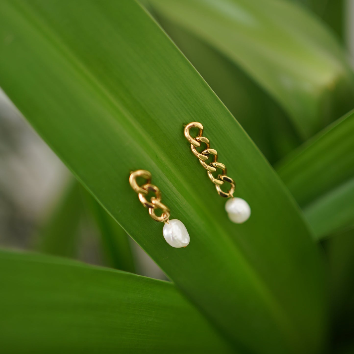 Pearl Drop Link Earrings